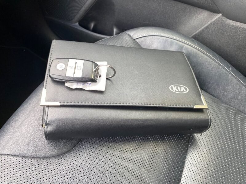 KIA NIRO PHEV EMOTION P LUXURY 1.6